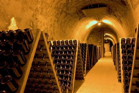 Dégustation de champagne en cave