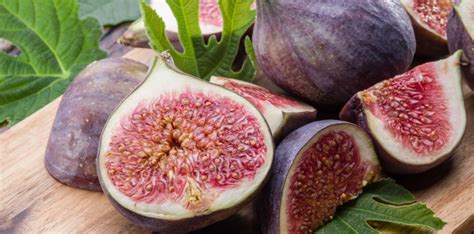 Photographie comparative des dommages causés sur différentes variétés de figues