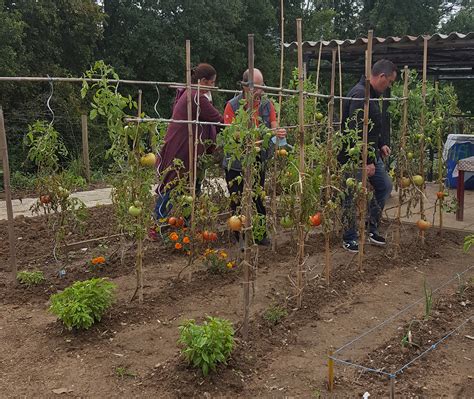 Image d'un groupe d'entraide de jardiniers