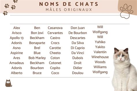Diagramme d'évolution des noms de chats