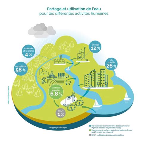 Infographie montrant la réduction des besoins en eau grâce au paillage BRF