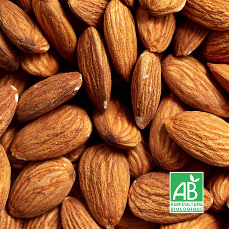 Amandes décortiquées et amandes avec leur coque