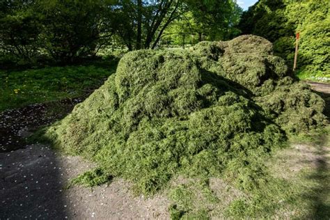 Illustration de sacs d'herbe de tonte