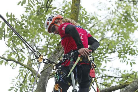 Arboriste grimpeur en action