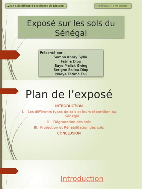 Infographie sur les types de sols idéaux pour le prunier