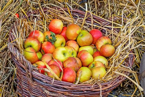 Pommes Lilibet® fraîches