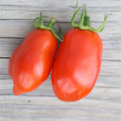 Tomates 