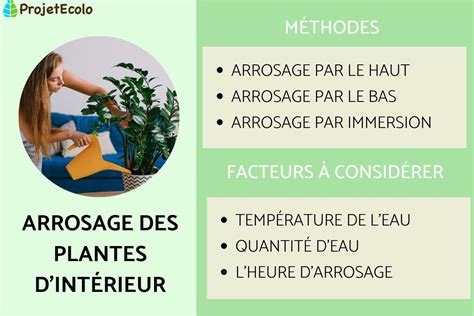 Arrosage des mottes par immersion