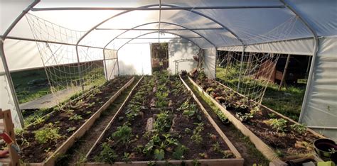 Exemple de serre de jardin pleine de cultures