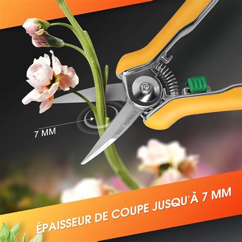 Outils de taille et d'élagage