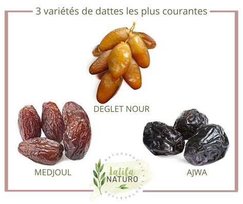 Assortiment de différentes variétés de dattes