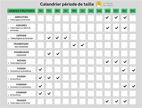 Calendrier des précommandes et expéditions d'arbres fruitiers