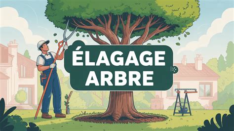 Schéma explicatif de l'élagage correct d'un arbre