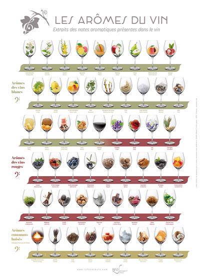 Notes aromatiques du vin Terre d'Argile