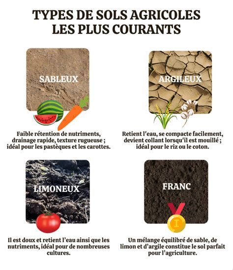 Types de sols et rétention d'eau