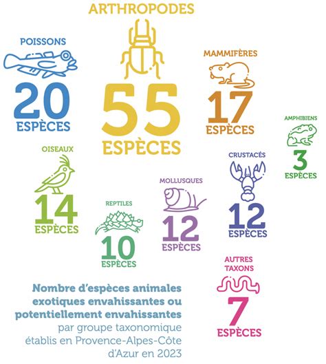 Répartition des surfaces des principales espèces fruitières en France