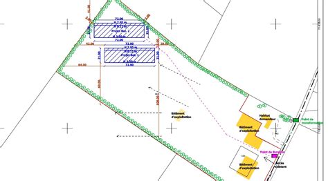 plan d'une framboiseraie
