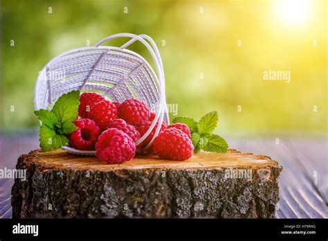 panier de framboises fraîches