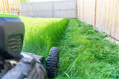 Comparaison entre coupe avec ramassage et coupe mulching