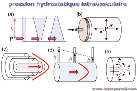 Illustration d'une transmission hydrostatique