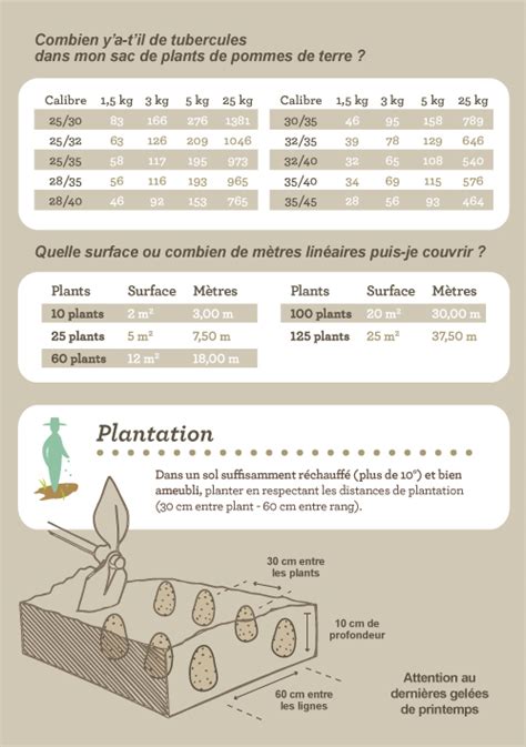Plan de plantation illustrant la distance entre les plants de Ceratostigma plumbaginoides