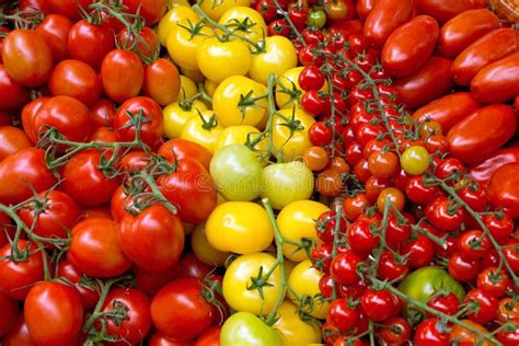 Assortiment de tomates cerises de différentes couleurs et formes