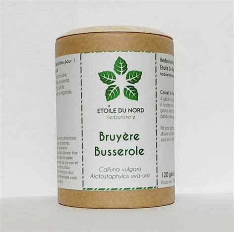 Infographie présentant les quatre plantes clés : canneberge, hibiscus, busserole, bruyère