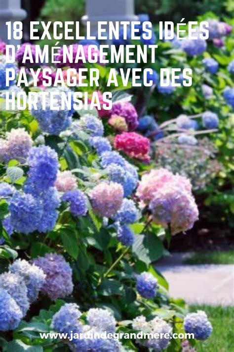 Exemple d'aménagement paysager avec des hortensias