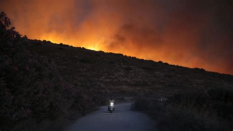 Forêt méditerranéenne après un incendie, avec de jeunes pousses