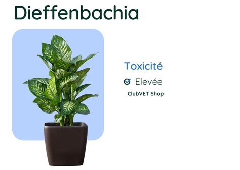 Étiquette d'avertissement pour plante toxique