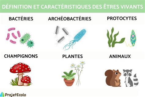 Tableau comparatif des modes de nutrition des êtres vivants
