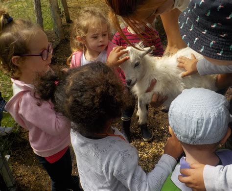 Enfants en visite pédagogique dans une ferme de l'Aisne
