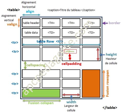 Comparaison d'un tableau HTML avec border=1 et border=0