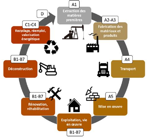 Diagramme illustrant le cycle de vie d'un Weigelia
