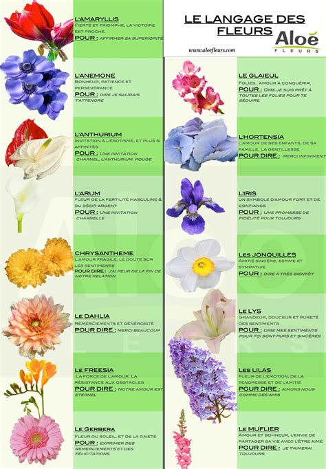 Infographie présentant les différentes couleurs de fleurs de Weigelia