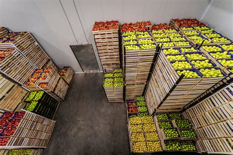Photos de pommes bien rangées dans une cave pour la conservation