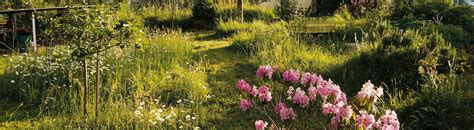 Image d'un jardin avec différentes zones, certaines tondues, d'autres laissées naturelles