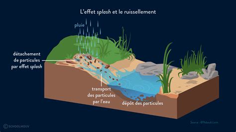 Schéma illustrant la protection du sol par le paillage contre l'érosion
