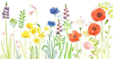 Illustration d'une pelouse printanière parsemée de petites fleurs roses