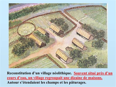 Plan archéologique d'un village néolithique précoce avec des maisons rectangulaires