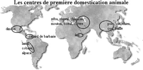 Carte des foyers de domestication agricole et animale dans le monde