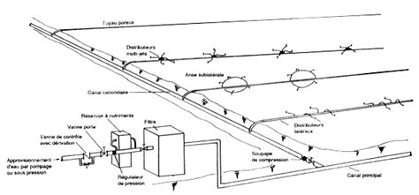 Représentation schématique d'un système d'irrigation avec canaux et chadouf