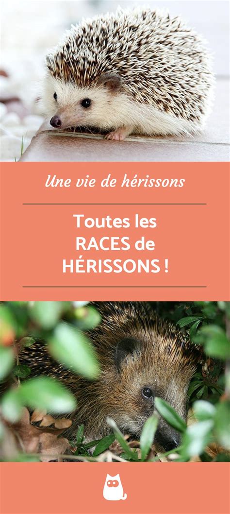 Différents types de hérissons d'épandage