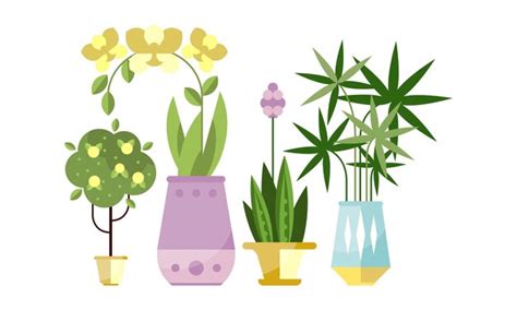 Illustration de diverses plantes en pot avec leurs conditions d'hivernage idéales