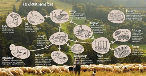 Schéma du processus de la laine, de la tonte au produit fini
