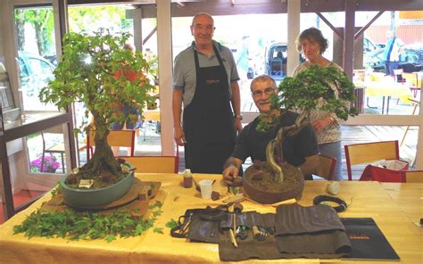 Membres du club travaillant sur des bonsaïs