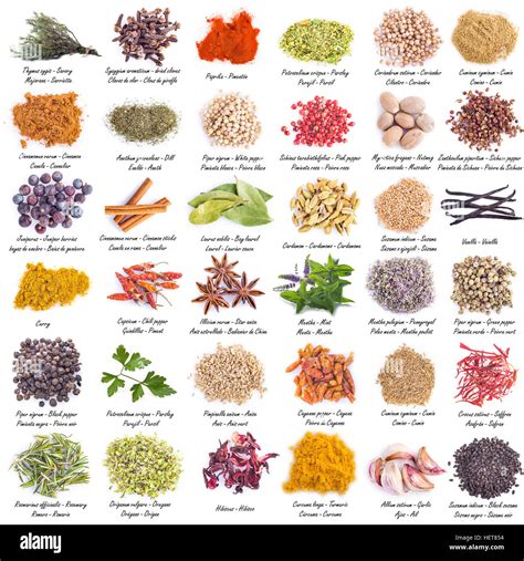 Assortiment d'herbes et épices médicinales