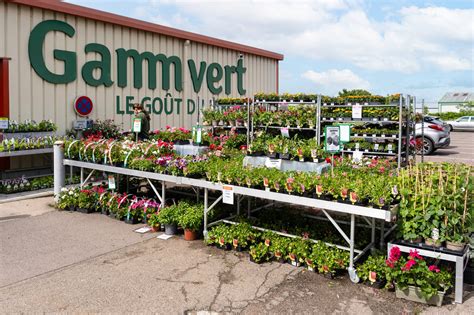 Rayon plantes et fleurs Gamm vert