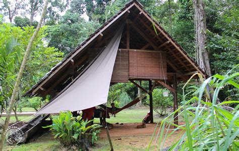 Photographie d'un carbet traditionnel en Guyane, intégré dans un environnement forestier luxuriant.