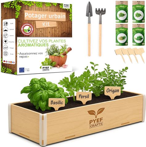 Kit potager d'intérieur